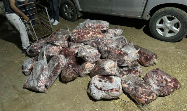 İncirliova'da 1 ton domuz eti ele geçirildi