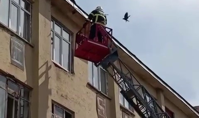 İtfaiye ekiplerinden karga kurtarma operasyonu