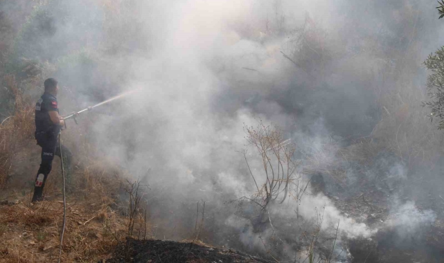 İtfaiyenin hızlı müdahalesi alevlerin antik kente ulaşmasını önledi