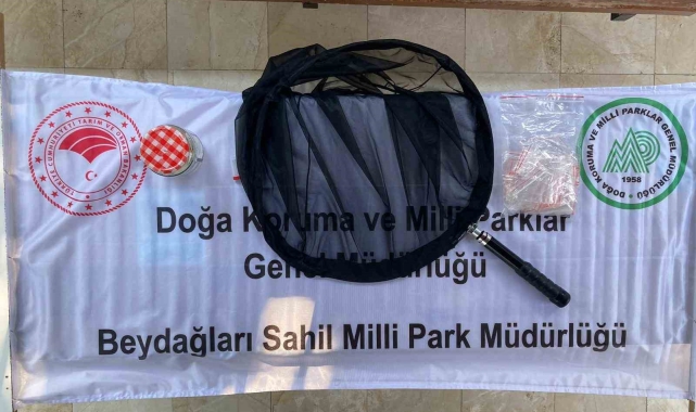 İzinsiz böcek toplayan Rus akademisyene 378 bin 141 lira para cezası