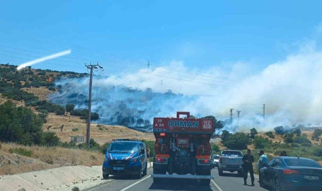 İzmir'de makilik ve otluk alanda yangın