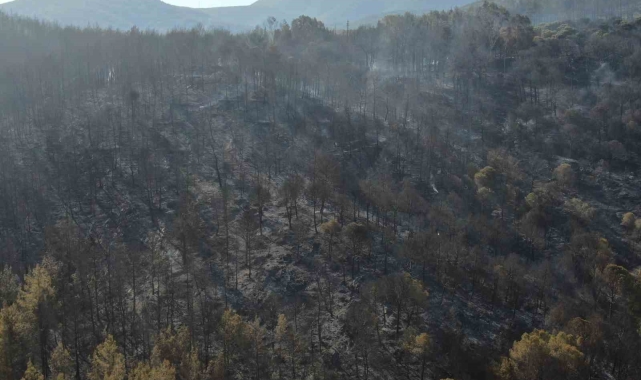 İzmir'de yangının çıktığı nokta olarak değerlendirilen bölge havadan görüntülendi