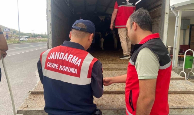 Jandarma'dan kurbanlık nakli yapan araçlara denetim