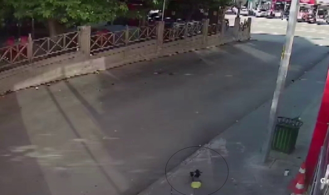 Kameraları inceleyince ortaya çıktı, bu hırsız hayrete düşürdü