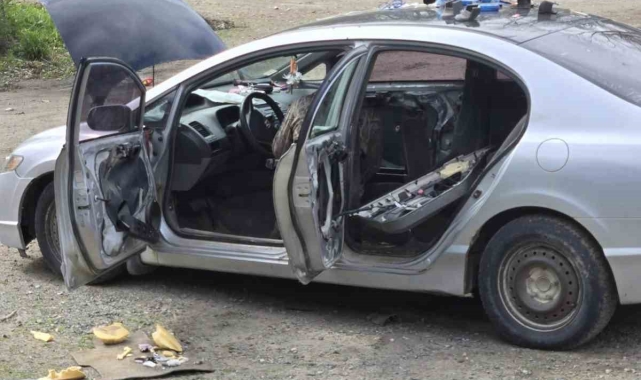 Kanada'da bir ayı otomobile girip koltukları parçaladı