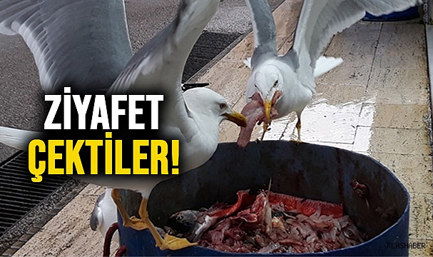 KAPANIN AĞZINDA KALDI!