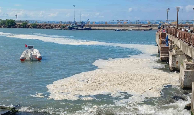 Karadeniz'de müsilaj yayılıyor