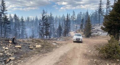 Karaman'da çıkan orman yangını kontrol altına alındı