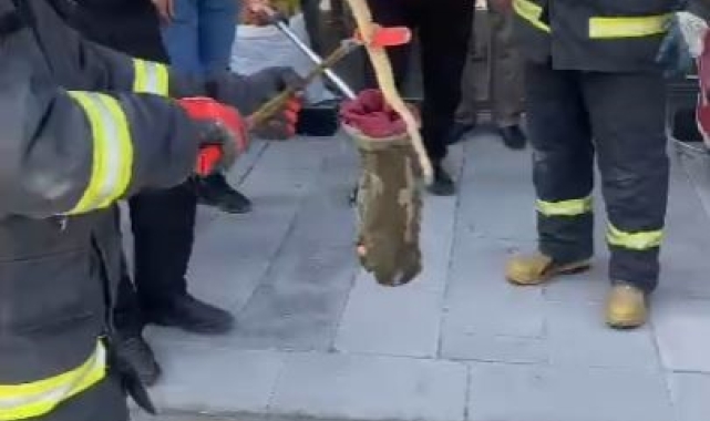 Karapınar'da park halindeki otomobilin altından yılan çıktı