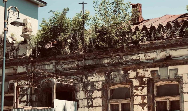 Kars'ta tarihi binanın üzerinde ağaç yetişti