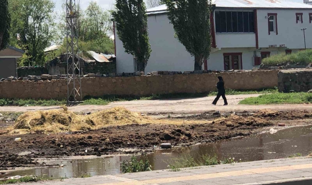Kars'ta yol kenarına dökülen gübreler insan sağlığını olumsuz etkiliyor