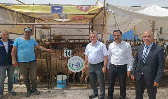 Kaymakam Öztürk hayvan pazarında incelemelerde bulundu