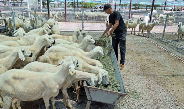 "Kayseri'de bir numara Talas Belediyesi"