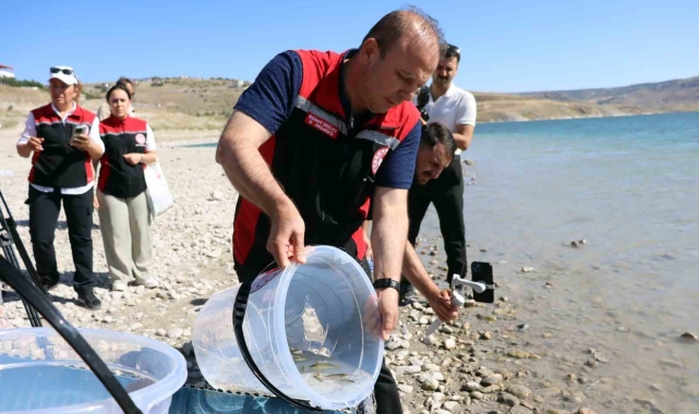 Kayseri'de sulara 1 buçuk milyon balık bırakıldı