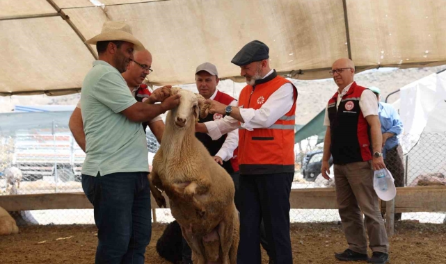 Kayseri'de tek, Türkiye'ye ise örnek olan profesyonel kurban hizmeti bayrama hazır