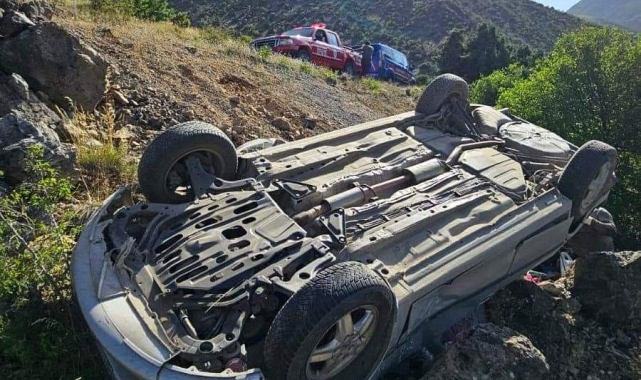 Kemaliye'de otomobil şarampole uçtu