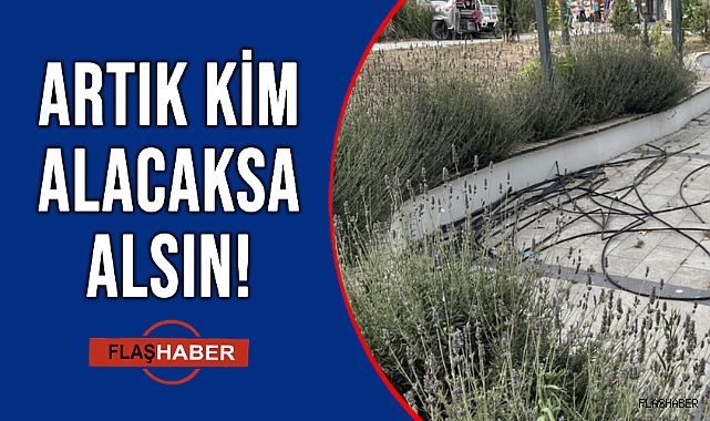 KENTE YAKIŞMIYOR!