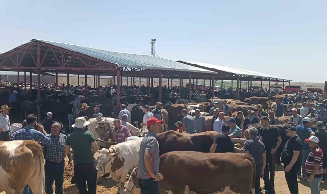 Kırşehir'de arife günü kurban pazarında sıkı pazarlık