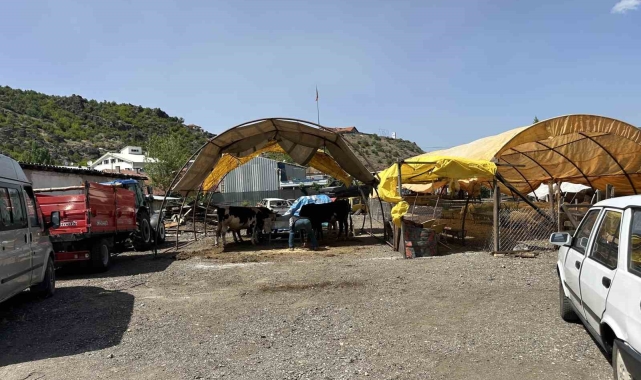 Kızılcahamam'da kurban pazarı kuruldu