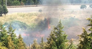Kocaeli'de orman yangını: Çam ağaçları yandı