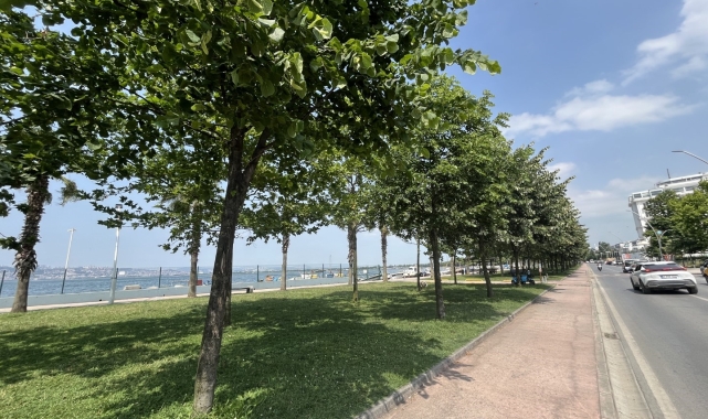 Kocaeli'yi ıhlamur kokusu sardı