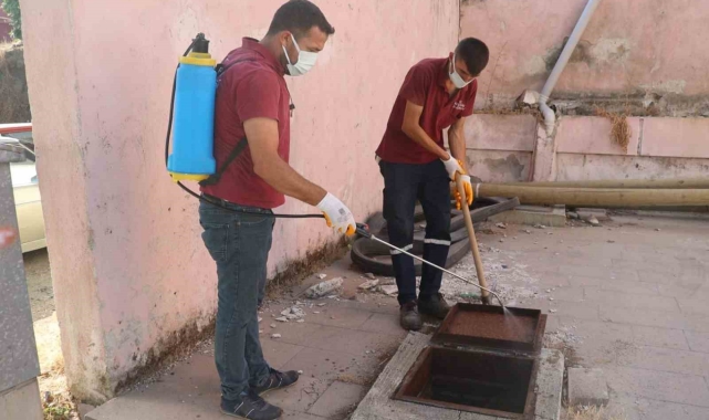 Koçarlı Belediyesi, haşereyle mücadele çalışmalarını sürdürüyor