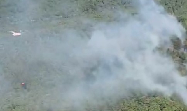 Köprülü Kanyon Milli Parkı'nda yangına müdahale ediliyor