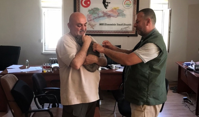 Kuduz aşılaması yıl boyunca sürüyor