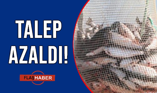 KURBAN ETİ, BALIĞA TALEBİ AZALTTI