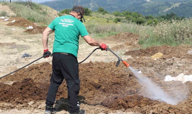 Kurban satış alanları ilaçlanıyor