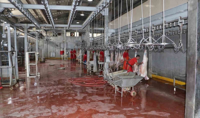 Kurban satış yerleri ve mezbahalarda ilaçlama çalışmaları tamamlandı