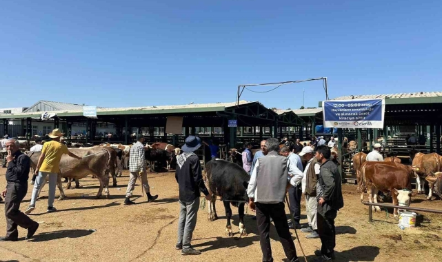 Kurbanlık keçisini dolandırıcılara kaptıran yetiştiricinin imdadına polis yetişti