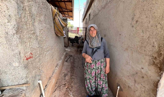 Kurbanlık satıcısı kadın: "Kurbanlıklar pahalı satılıyor bu kadar olmaz"