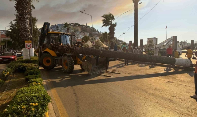 Kuşadası'nda devrilen ağaç ekiplerin müdahalesiyle kaldırıldı