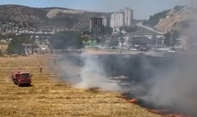 Kuşadası'ndaki kuru ot yangını itfaiyenin hızlı müdahalesiyle söndürüldü