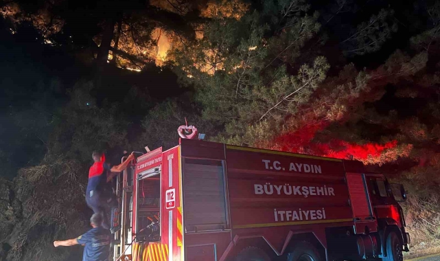 Kuyucak'ta zirai alan yangını