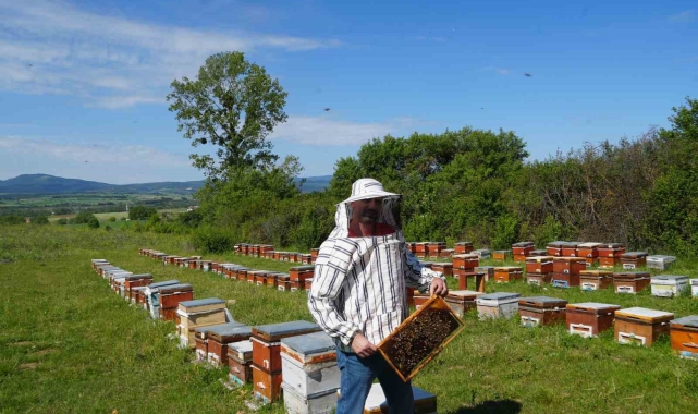 KUZKA'nın desteğiyle Kastamonu'da arıcılığı geliştirecek proje: Maliyet yüzde 20 azaldı
