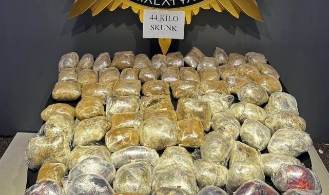 Malatya'da 44 kilogram skunk ele geçirildi