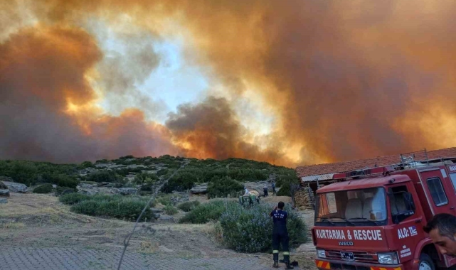 Manisa Salihli'deki orman yangını kontrol altına alındı