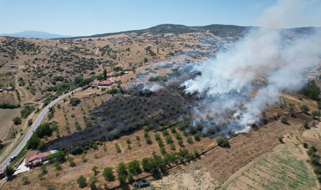 Manisa'da makilik alanda yangın