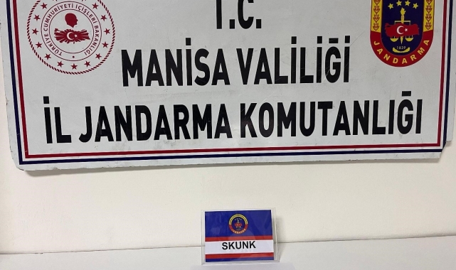 Manisa'da şüpheliden skunk ele geçirildi