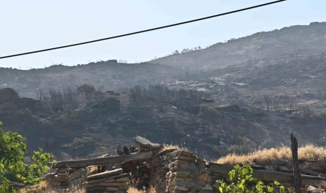 Manisa'daki yangınlar geçen seneye göre 2 kat arttı