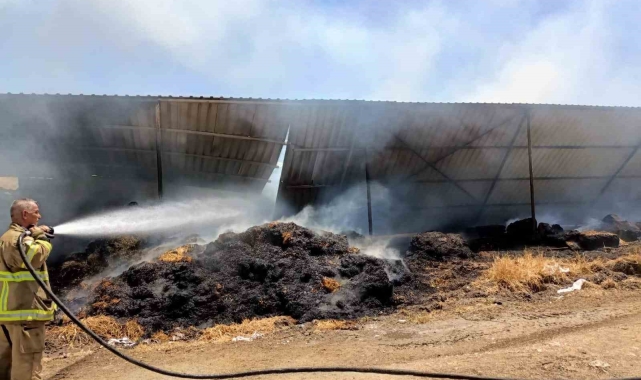 Manyas'taki çiftlik yangınında 52 koyun telef oldu