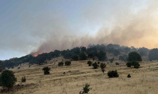 Mardin'de ormanlık alanda çıkan yangın söndürüldü