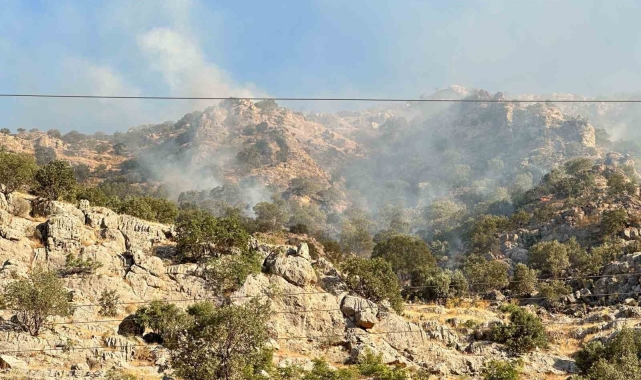 Mardin'de ormanlık alanda çıkan yangına müdahale devam ediyor