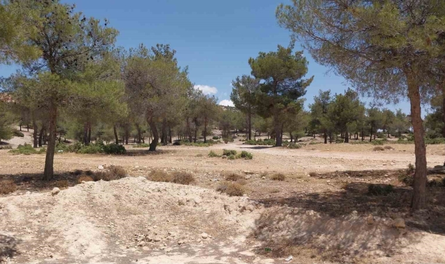 Mersin'de cinayet: 2 ölü