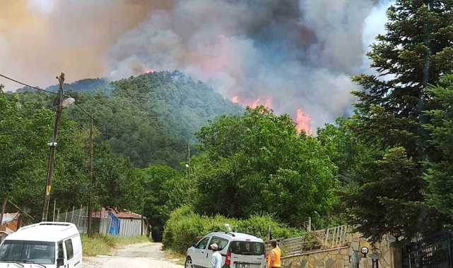 Milas'ta başlayan orman yangını büyüyor