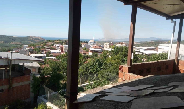 Mudanya'da ve Gemlik'te korkutan yangınlar