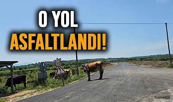 MÜJDELER OLSUN!