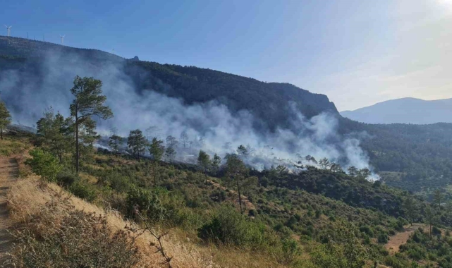 Mut'ta ormanlık alanda çıkan yangın kontrol altına alındı